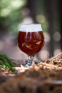 Close-up of wineglass in forest