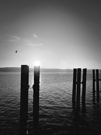 Wooden posts in sea against sky