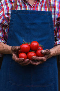 Senior man, farmer, worker holding in hands harvest of organic fresh tomato