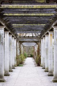 Corridor of building