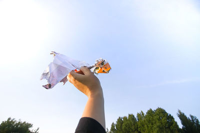 Low angle view of woman holding plant against sky