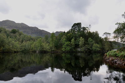 Reflection of trees in lake against sky