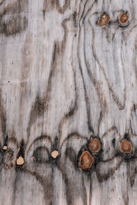 Full frame shot of wooden wall