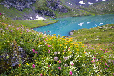 Alpine mountain lake landscape and view, blue beautiful and amazing lake panorama, wide angle.