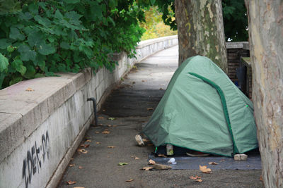 Rear view of person on footpath by street