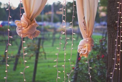 Close-up of hands holding flower