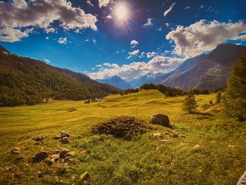 Scenic view of field against sky