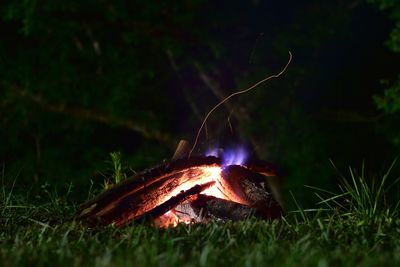 Close-up of bonfire on field