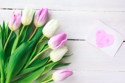 Close-up of pink tulip flowers on table