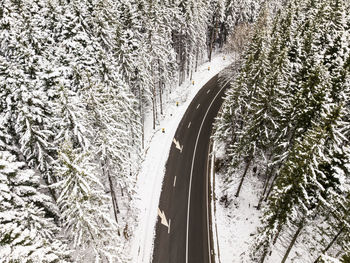 High angle view of snow covered road amidst trees