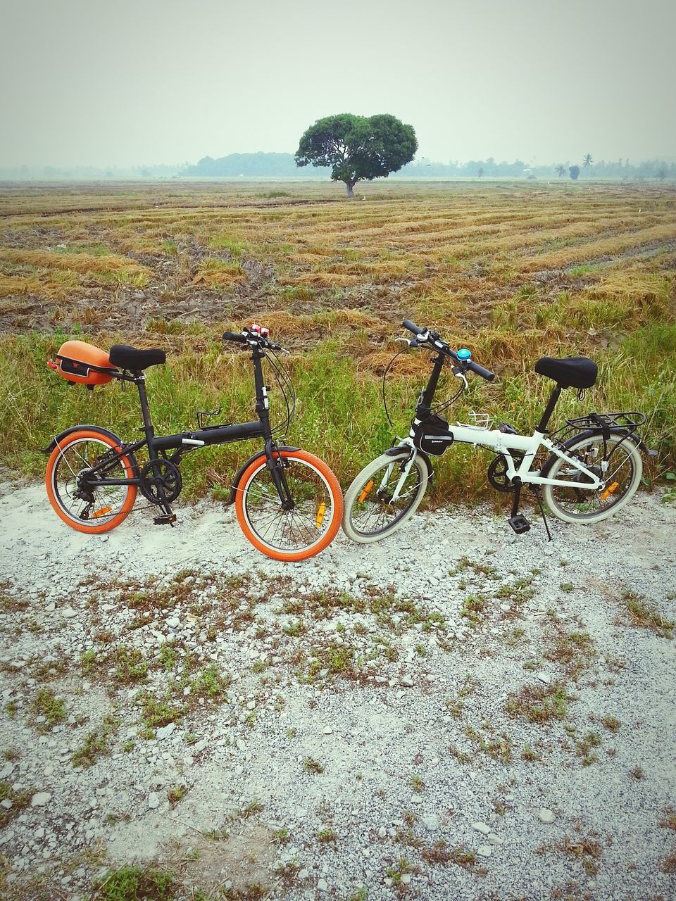 BICYCLES PARKED ON DIRT ROAD