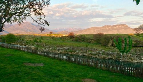 Scenic view of field and mountains against sky