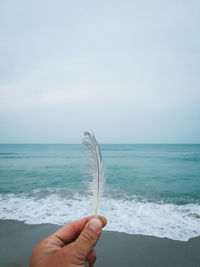 Cropped hand holding feather at beach against sky