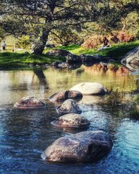 Scenic view of lake