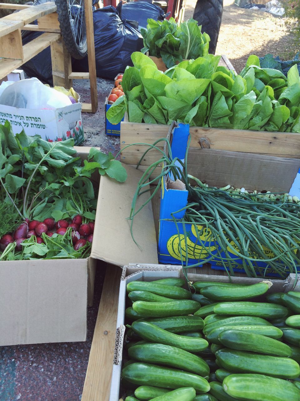 green color, for sale, abundance, market stall, market, retail, freshness, large group of objects, variation, vegetable, healthy eating, food and drink, plant, leaf, food, choice, growth, outdoors, high angle view, day