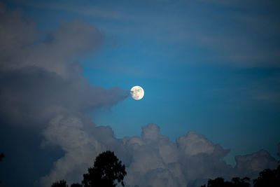 Low angle view of sky