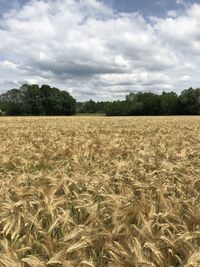 Scenic view of field against cloudy sky