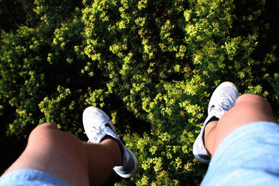 Low section of men standing on tree