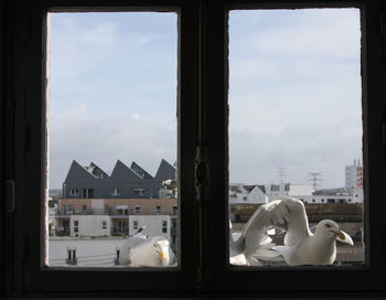 Low angle view of buildings against sky seen through window