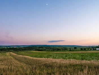 Scenic view of agricultural field against sky during sunset