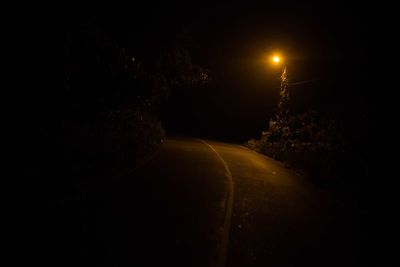 View of illuminated trees at night