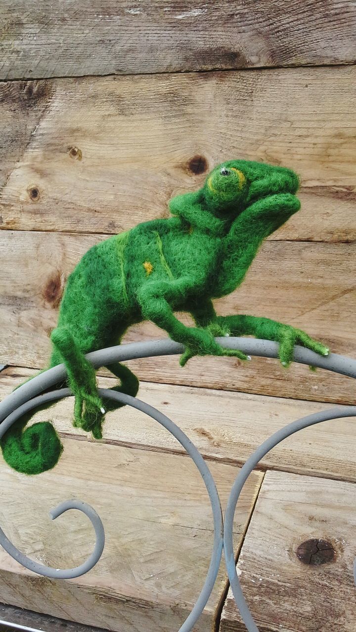 green color, high angle view, wood - material, close-up, plant, green, leaf, no people, growth, day, wooden, outdoors, nature, wall - building feature, wood, potted plant, sunlight, lizard, animal themes, focus on foreground