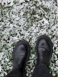 shoe