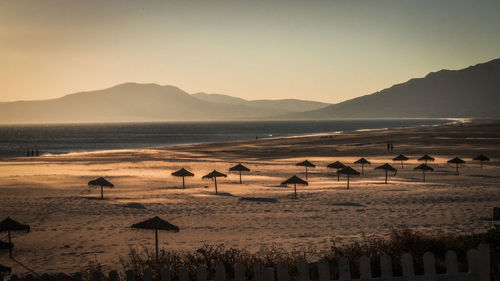 Flock of birds on beach against clear sky