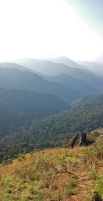 Scenic view of landscape against clear sky