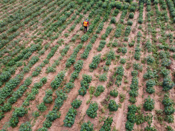 High angle view of man walking on field