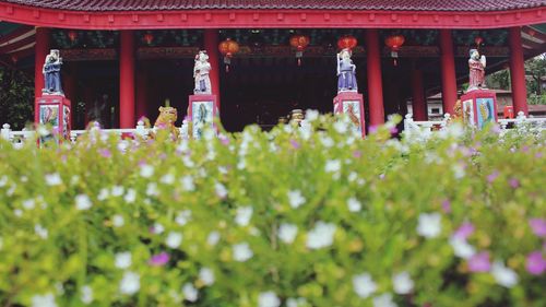 View of temple