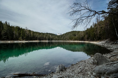 Scenic view of lake in forest against sky