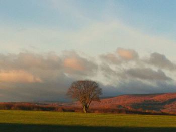Scenic view of field against cloudy sky