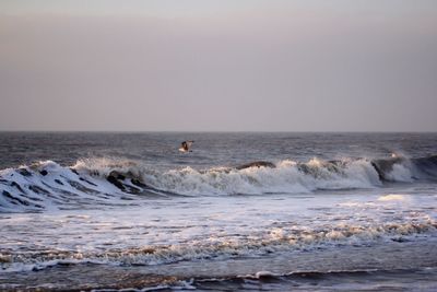 Scenic view of sea against clear sky