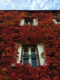 Low angle view of house during autumn