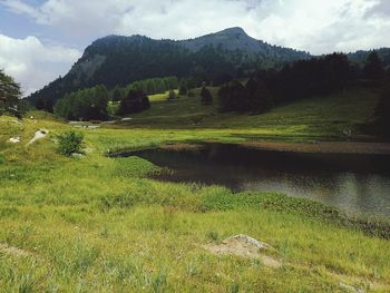 Scenic view of grassy field against cloudy sky