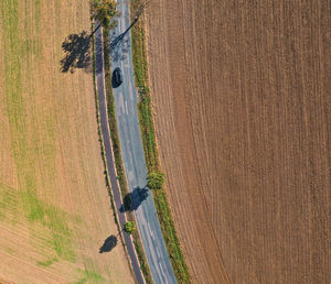 High angle view of agricultural field