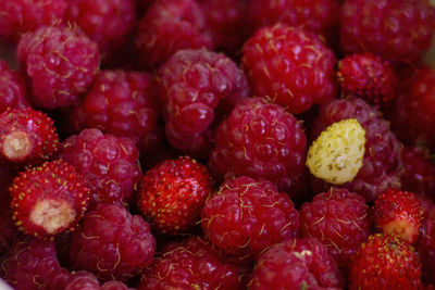Wallpaper of red ripe raspberries and strawberries close-up under the sun top view for background