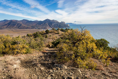 Scenic view of sea against sky
