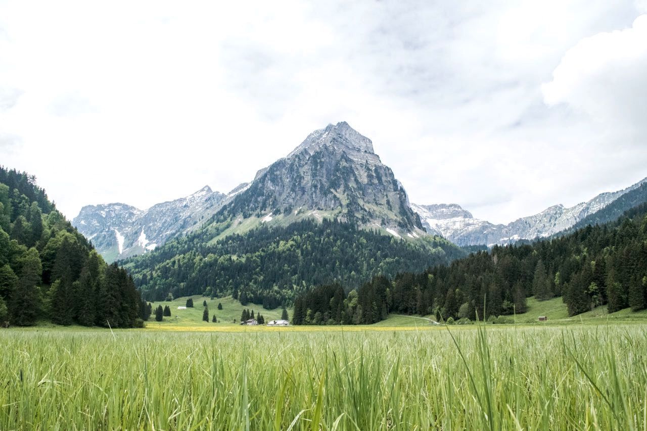 mountain, tranquil scene, mountain range, tranquility, landscape, scenics, beauty in nature, sky, nature, green color, tree, grass, growth, non-urban scene, field, idyllic, day, cloud, cloud - sky, remote