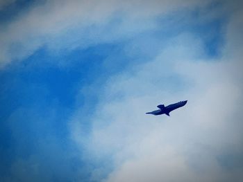 Low angle view of bird flying in sky