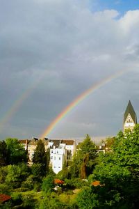 Rainbow over trees against cloudy sky