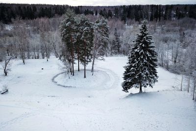 Trees on snow covered field