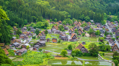 High angle view of trees and plants growing outside house