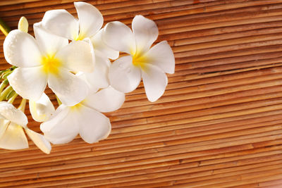 Frangipani flower on the rattan flooring