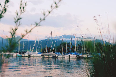 Sailboats moored in sea against sky