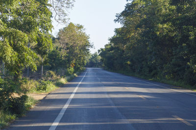 Empty road along trees