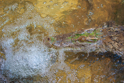 High angle view of water in a lake