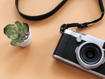 High angle view of camera and small plant on brown background