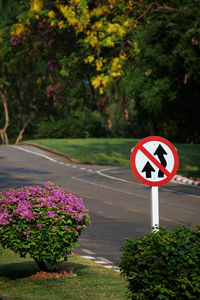 The overtaking prohibited sign on the road 